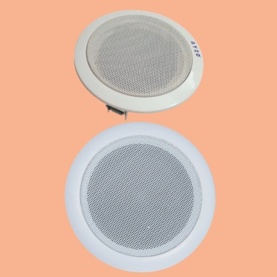 Ceiling Speaker